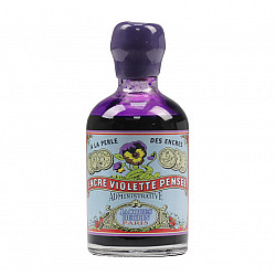 J. Herbin Fountain Pen Ink in Classic Bottle - 100 ml - Violette Pensee - 350 Years Limited Edition